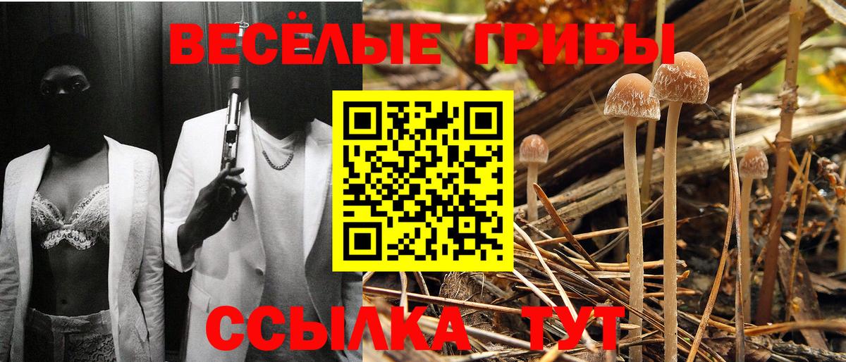 купить   Псилоцибиновые грибы Magic Shrooms  Вход с VPN  Трёхгорный 